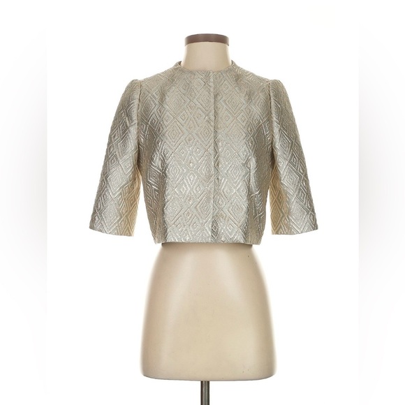 Max Mara Pianoforte Metallic Brocade Silk-Lined Jacket | Silver Blue | Sz 6 - Picture 2 of 14